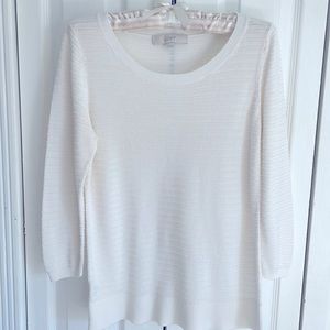 Ann Taylor Loft sweater